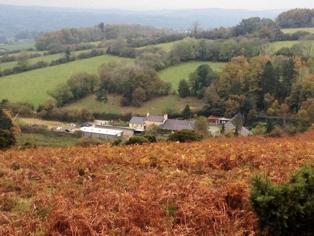 Wales Llanybydder Aerial View