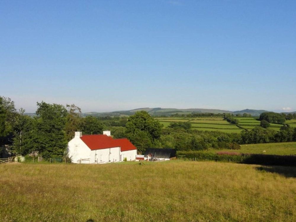 Wales Llanybydder Garden