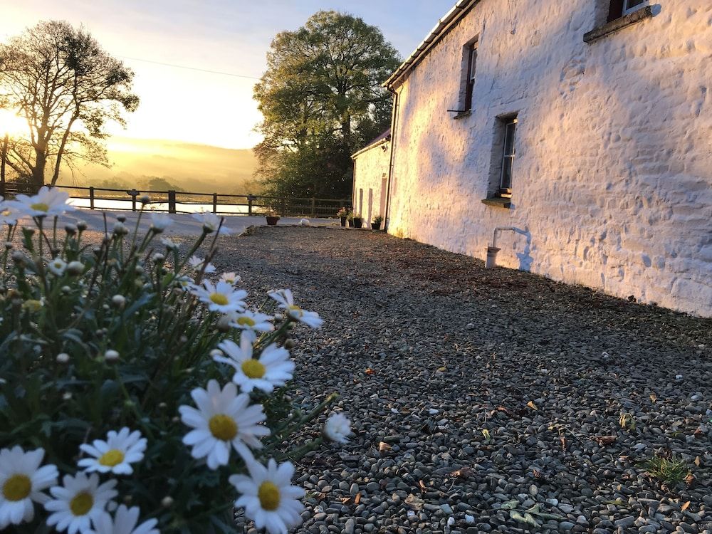 Wales Llanybydder Exterior Detail