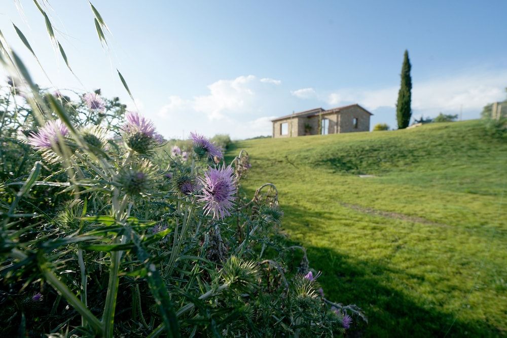 Tuscany Campagnatico Exterior Detail