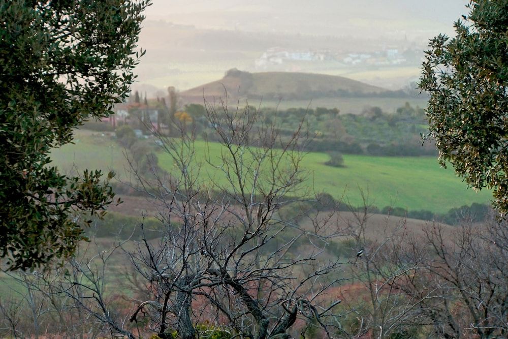 Tuscany Campagnatico Exterior Detail