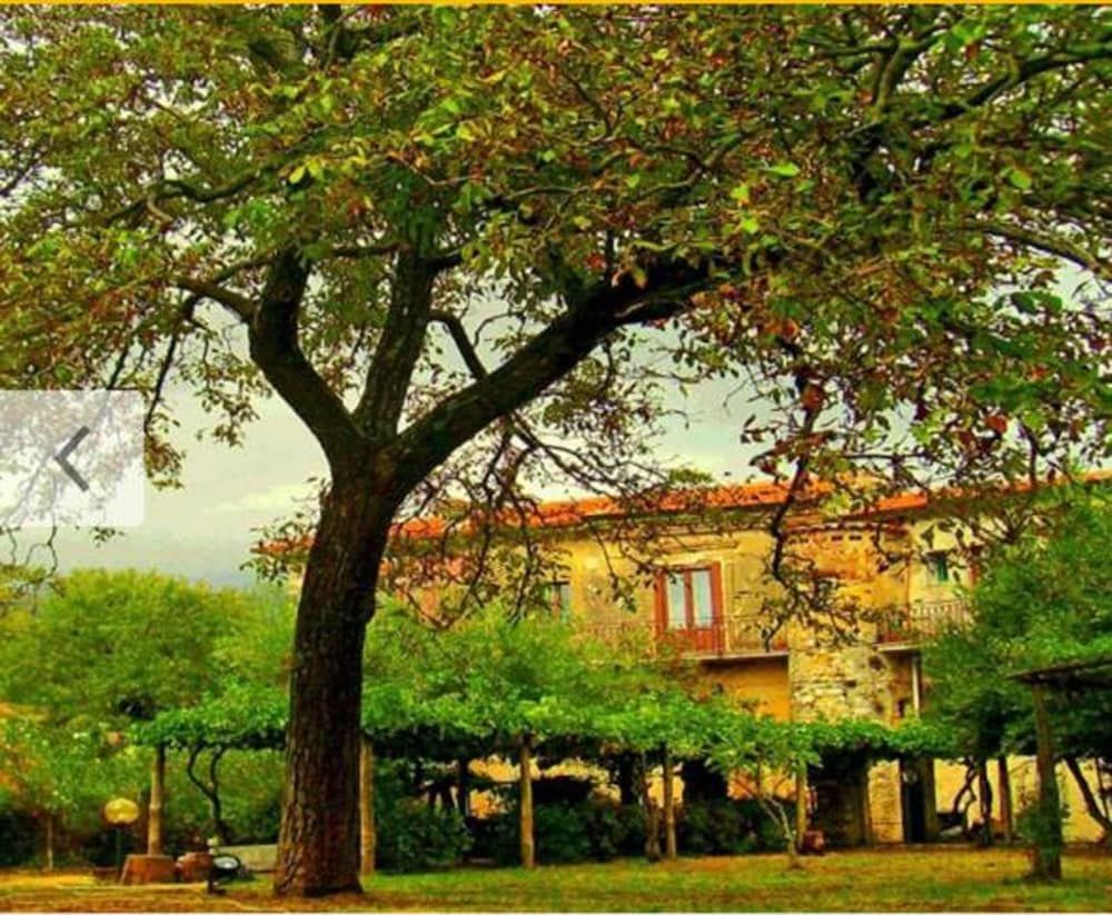 Campania Trentinara Facade