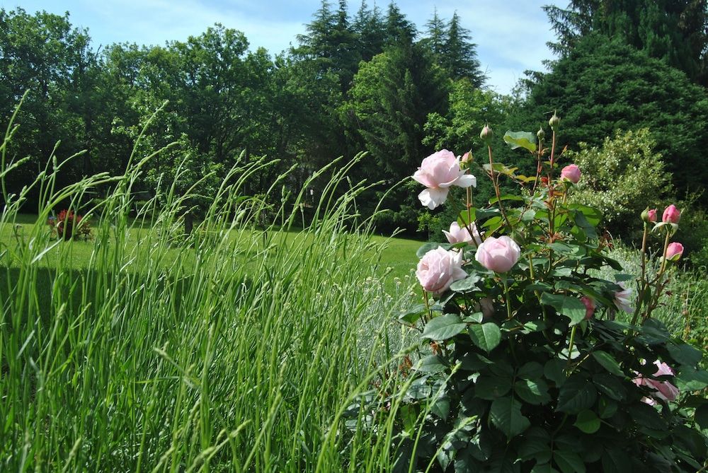 Liguria Sassello Garden