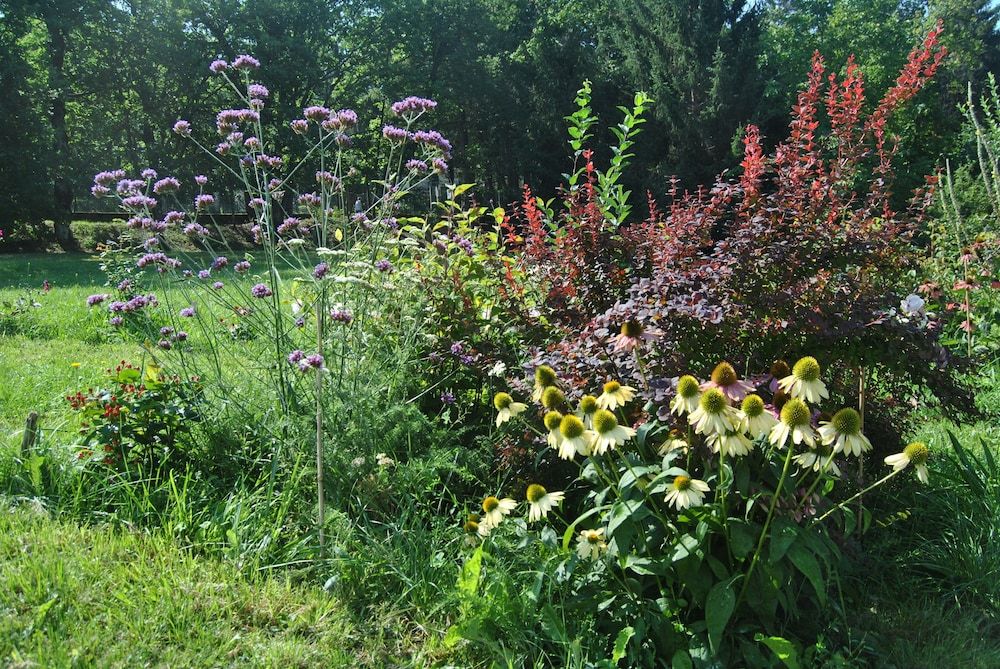 Liguria Sassello Garden