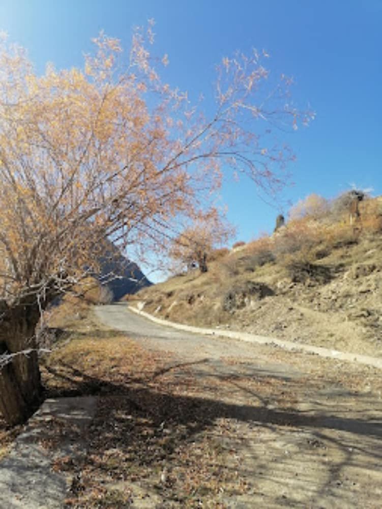 Himachal Pradesh Keylong View from Property