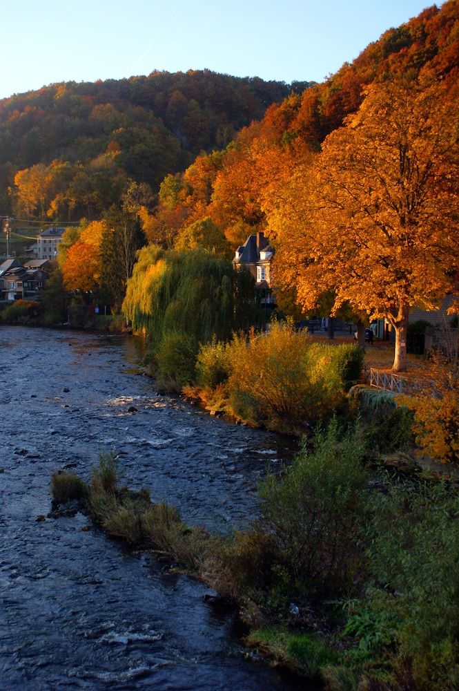 Walloon Region Aywaille View from Property