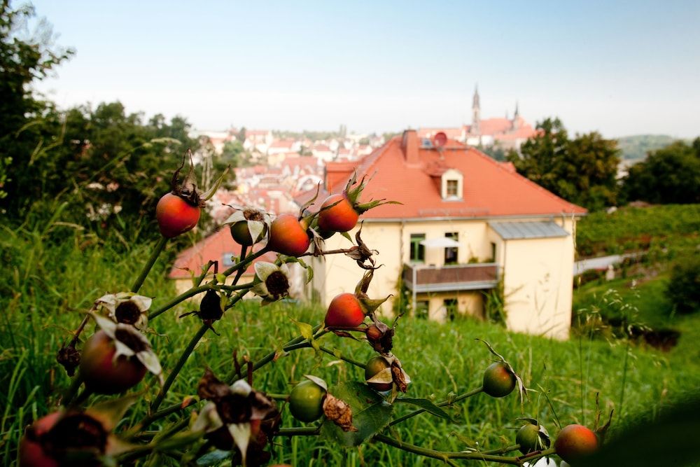 Saxony Meissen Exterior Detail