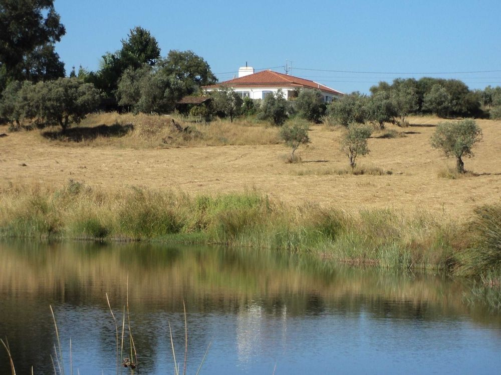 Alentejo Montemor-o-Novo Exterior Detail