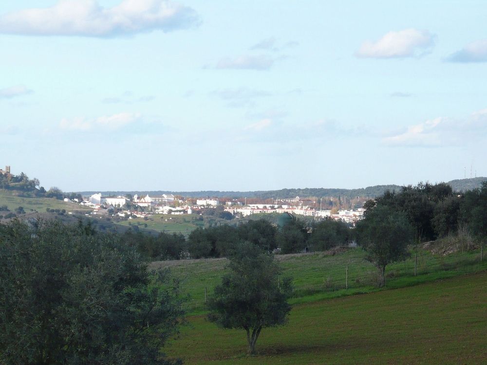 Alentejo Montemor-o-Novo Exterior Detail