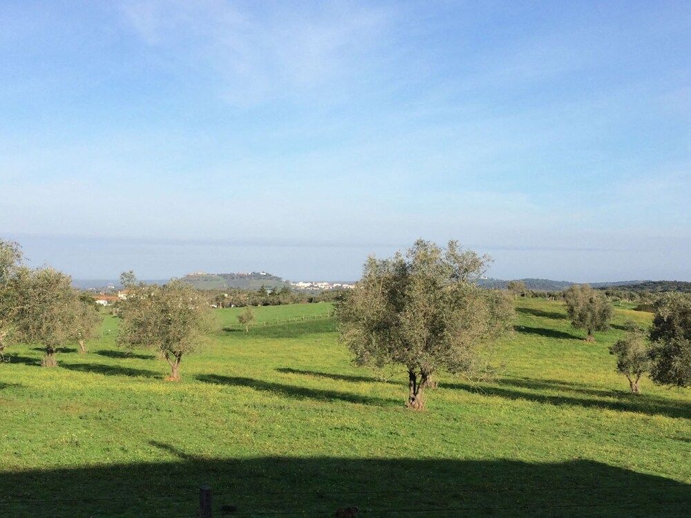 Alentejo Montemor-o-Novo Exterior Detail