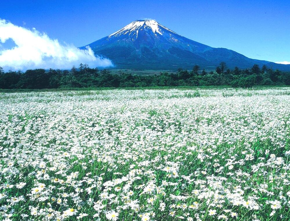 Yamanashi (prefecture) Yamanakako Land View from Property