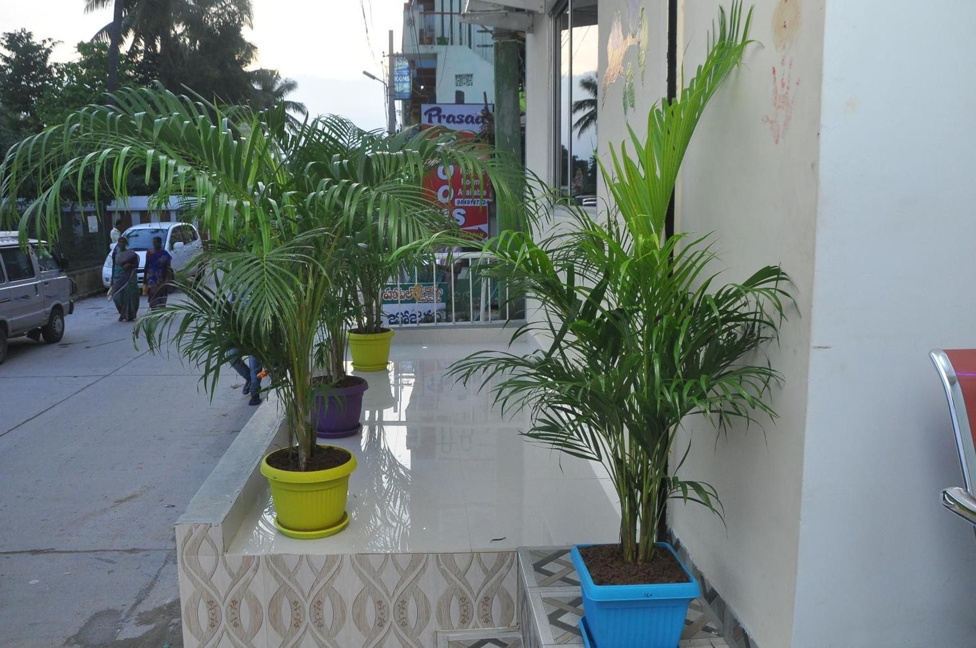 Andhra Pradesh Chittoor Hotel Exterior