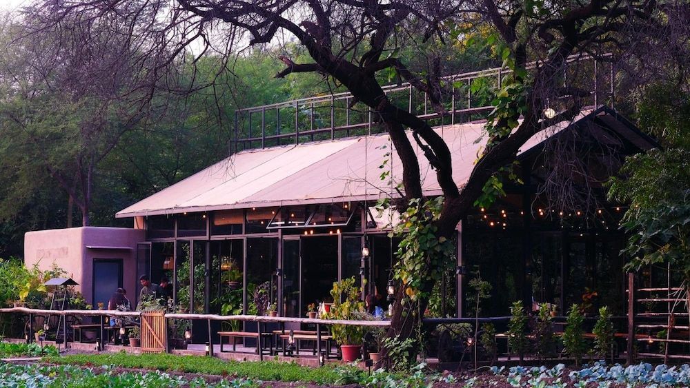 Madhya Pradesh Bhopal Restaurant