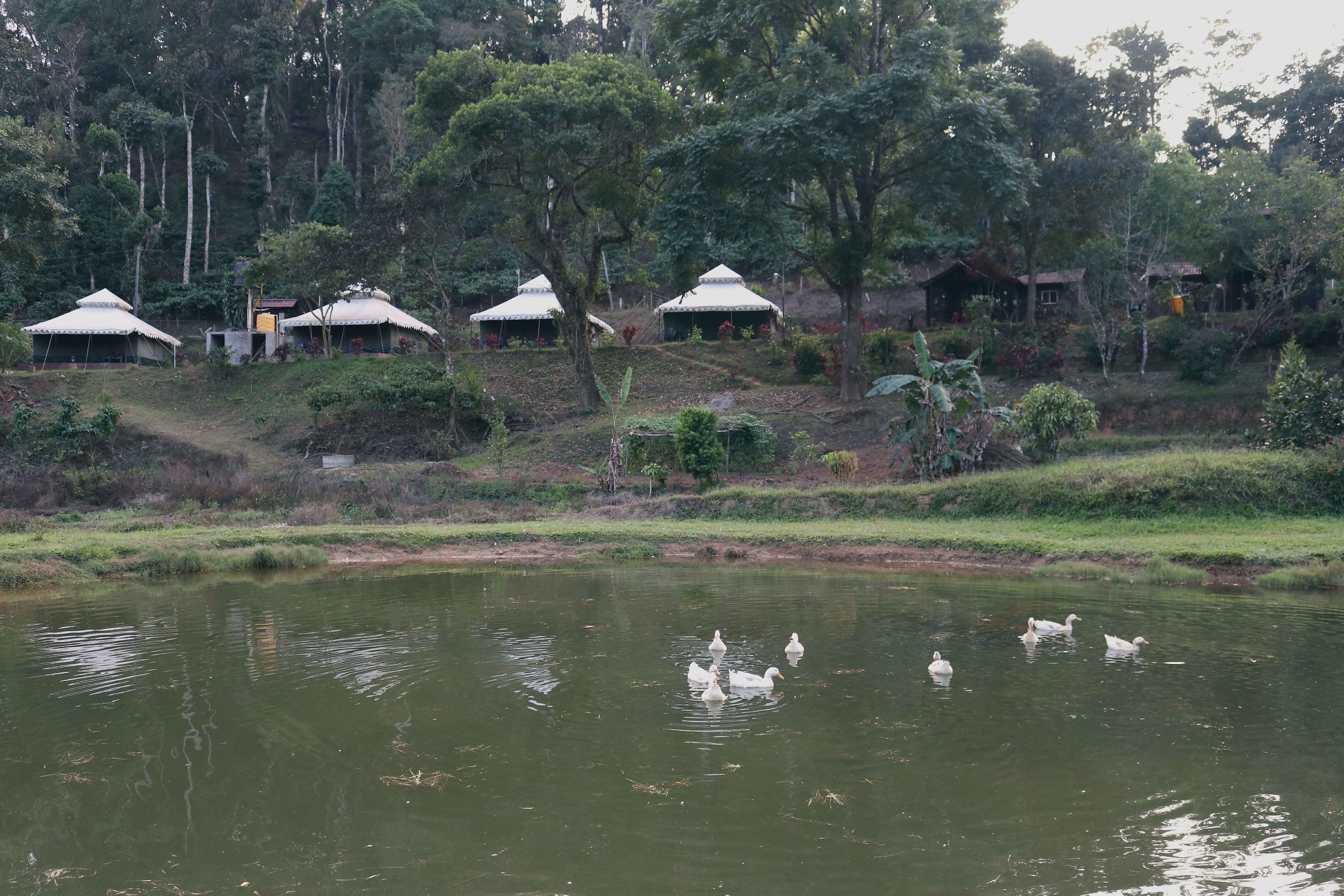 Karnataka Coorg Hotel View