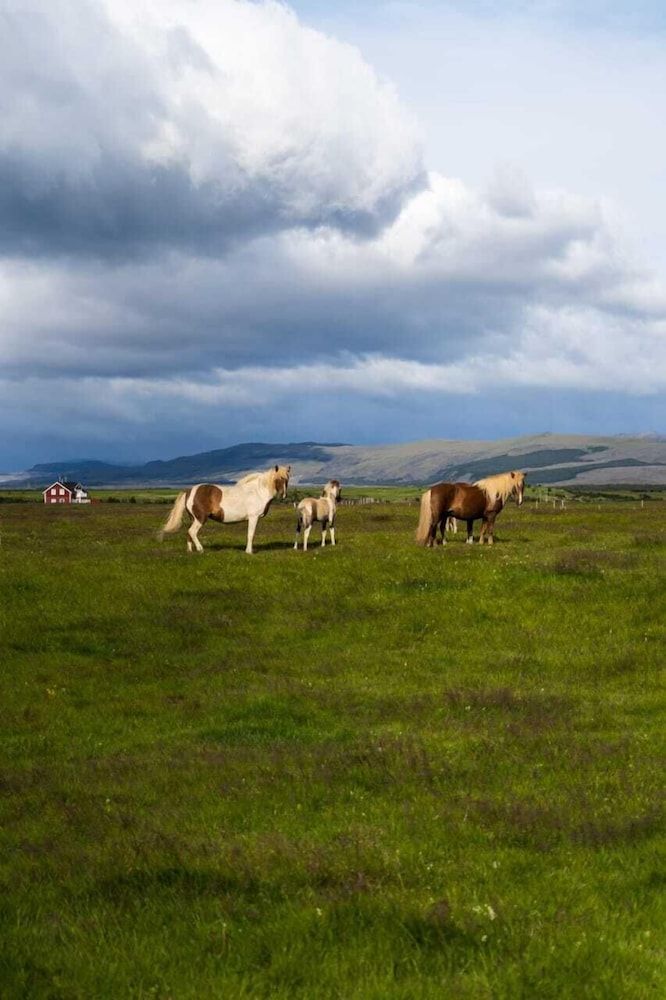 South Iceland Hella Exterior Detail