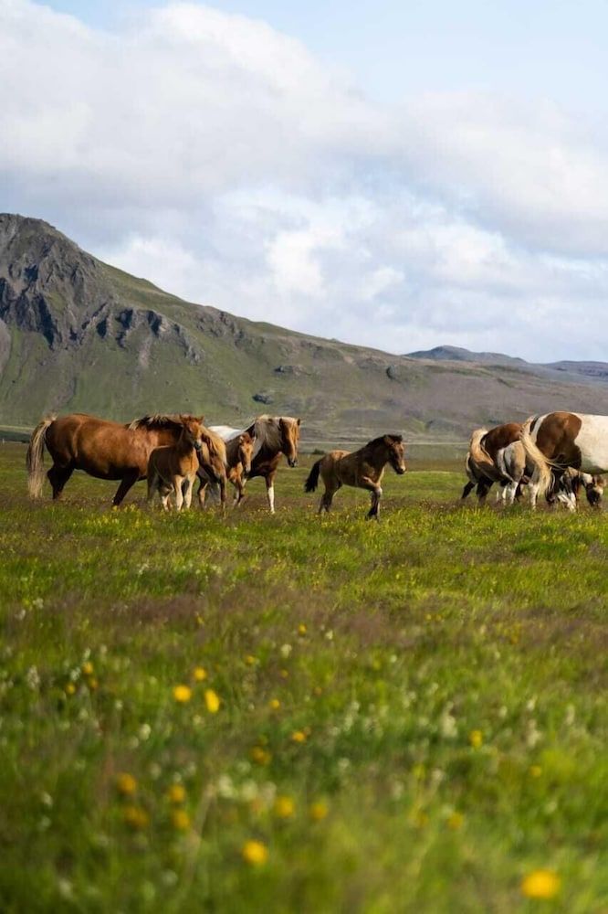 South Iceland Hella Exterior Detail