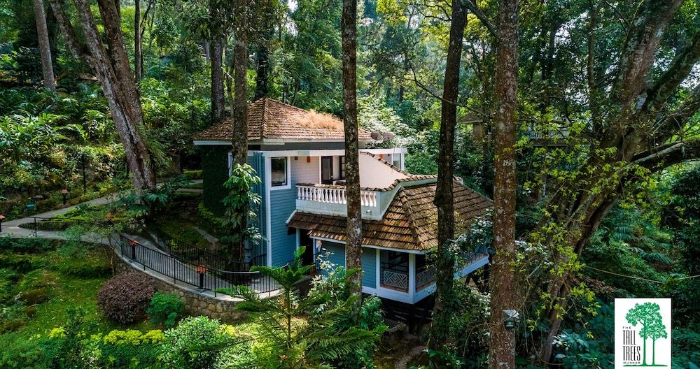 Kerala Munnar Primary image