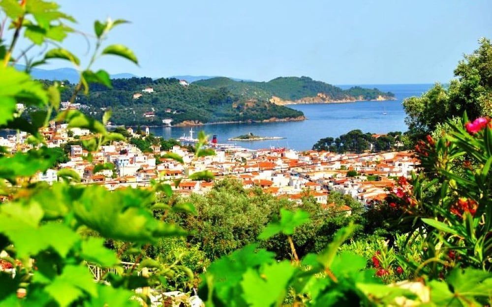 Thessalia Skiathos View from Property