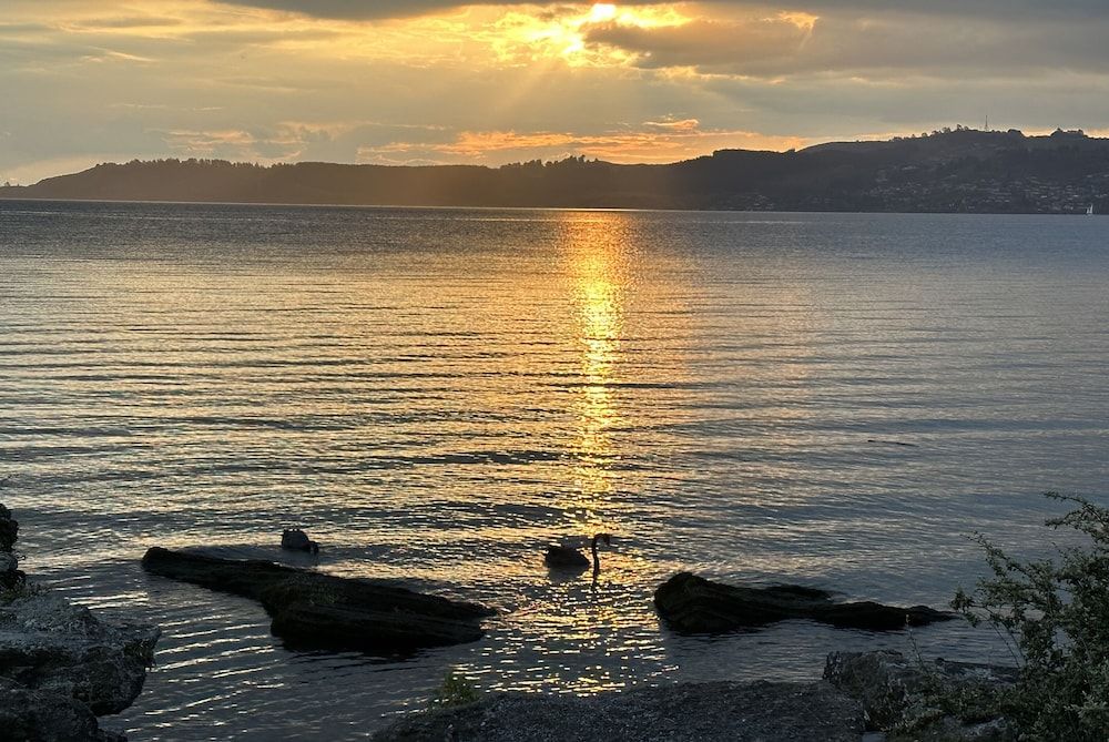 Waikato Taupo Beach