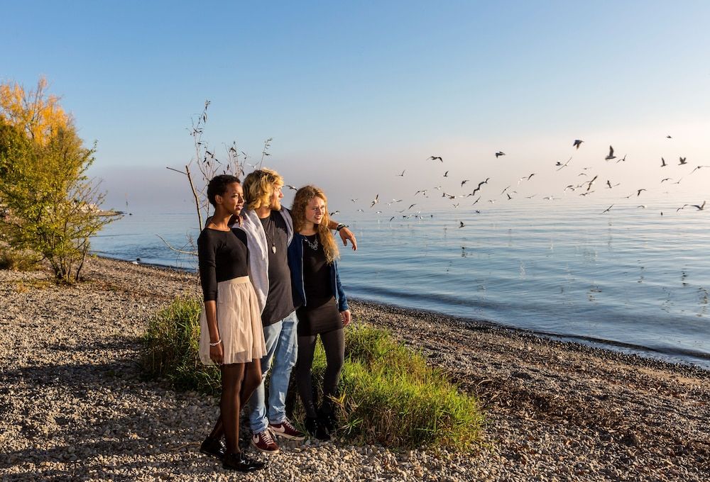 Baden-Wuerttemberg Friedrichshafen Beach