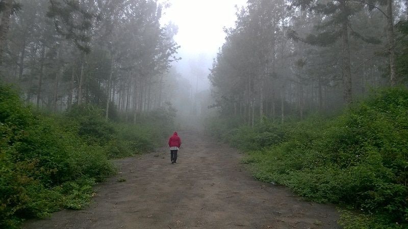 Tamil Nadu Yercaud Hotel View