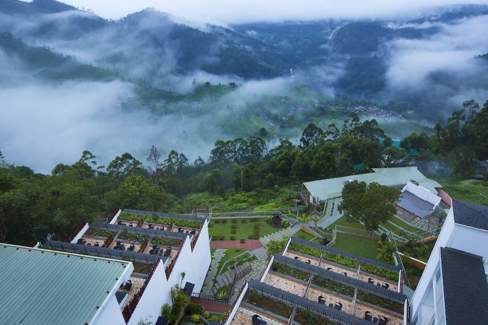 Kerala Munnar Property grounds