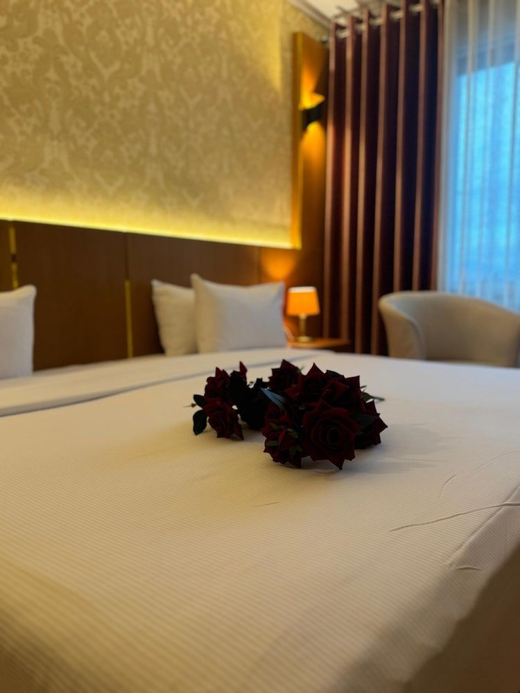 Tirana International Hotel & Conference Centre Standard Double Room 11