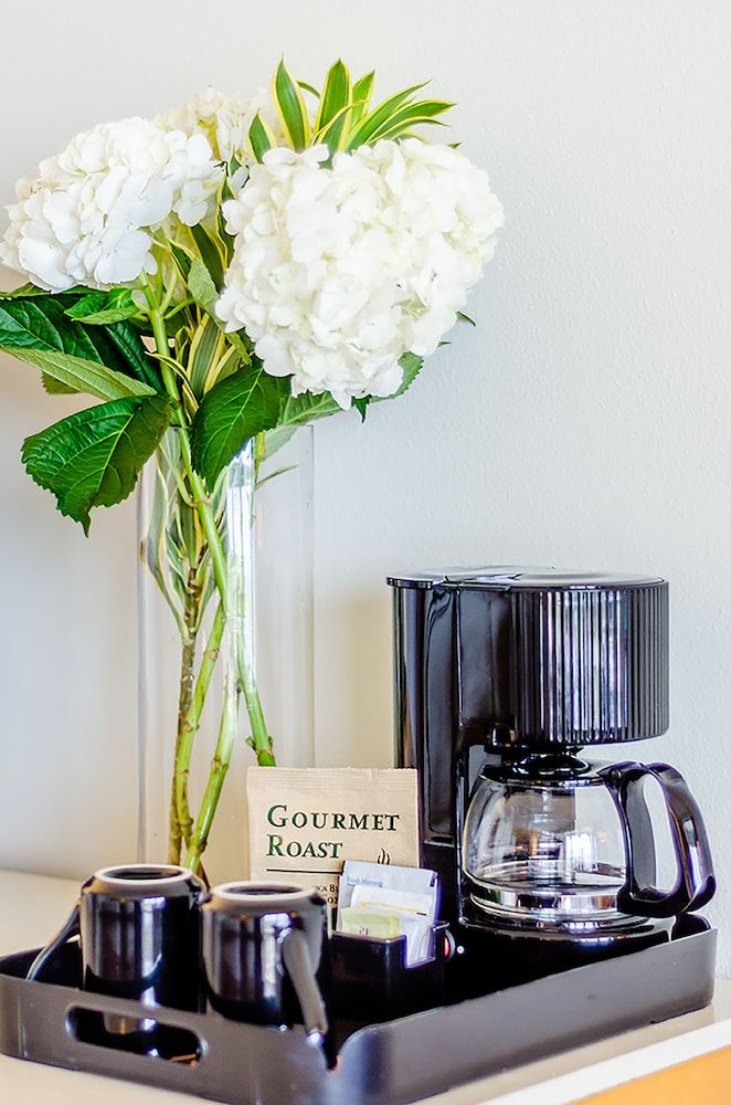 Sunscape Curacao Resort, Spa & Casino - All Inclusive Sun Club Honeymoon Junior Suite 6