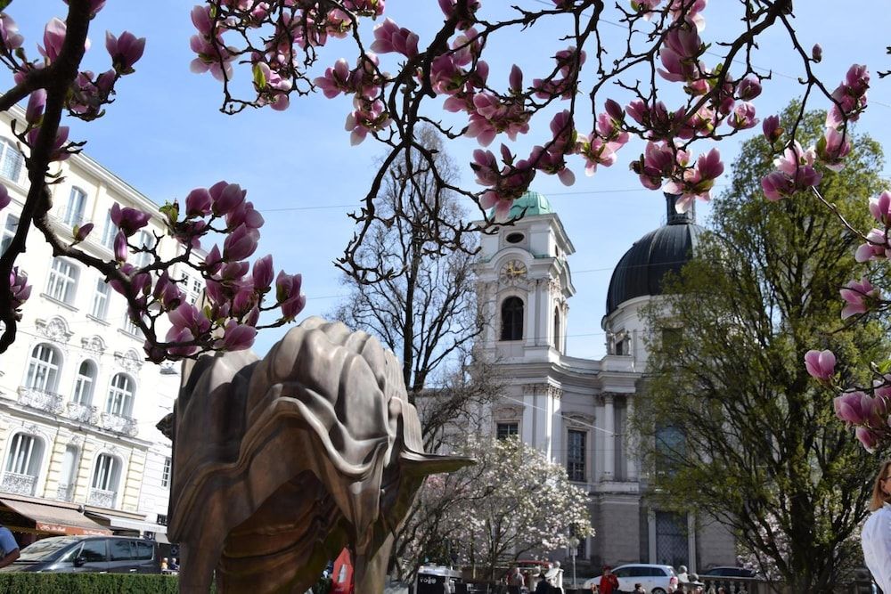 undefined Lasserhof Salzburg 7