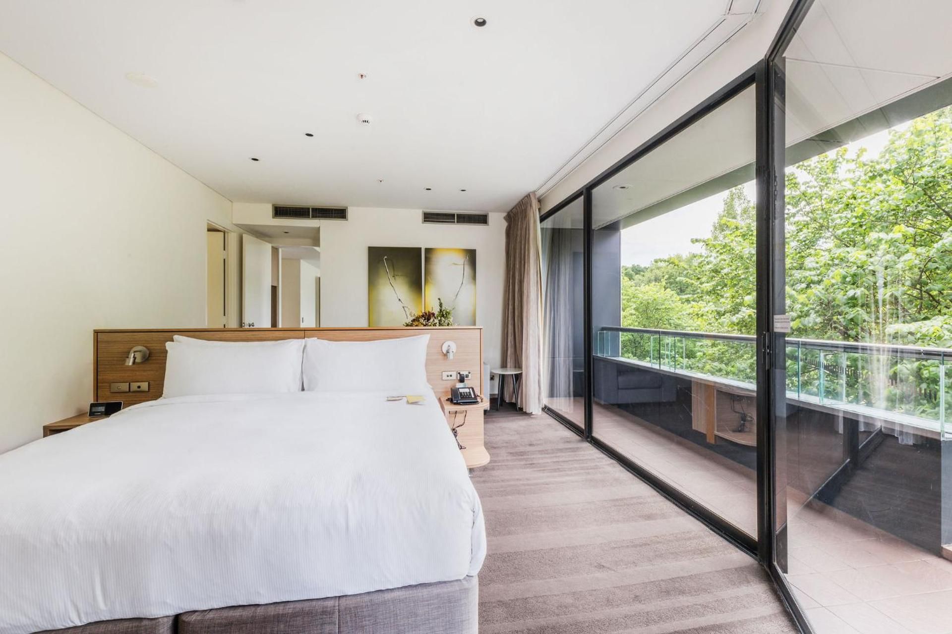 1 King 1 Bedroom Suite
