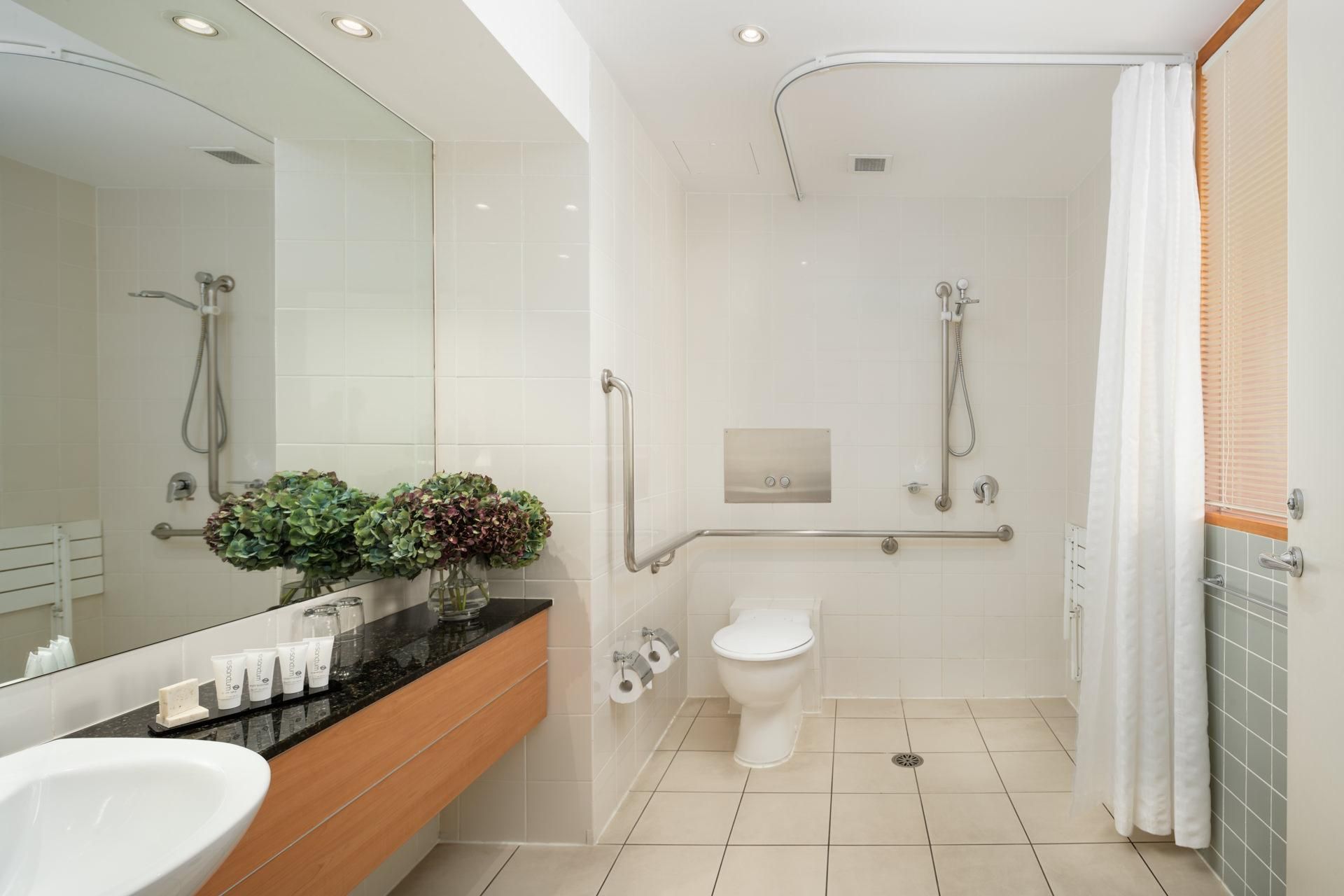 Accessible King Suite