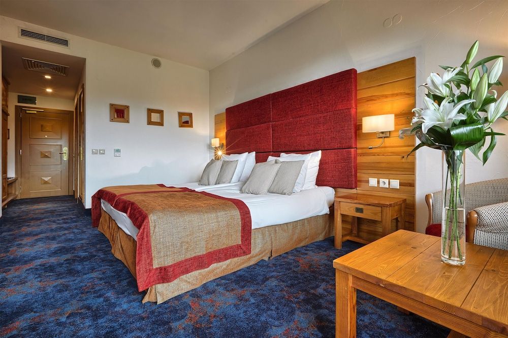 Superior Room, 1 King Bed, Mountain View