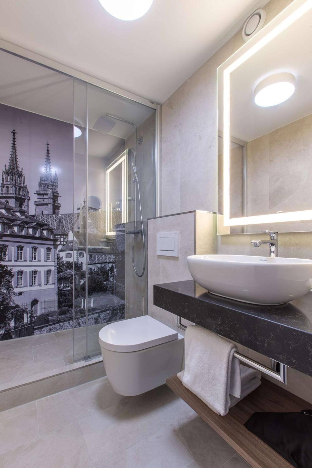 Radisson Blu Hotel, Basel Superior Room 9