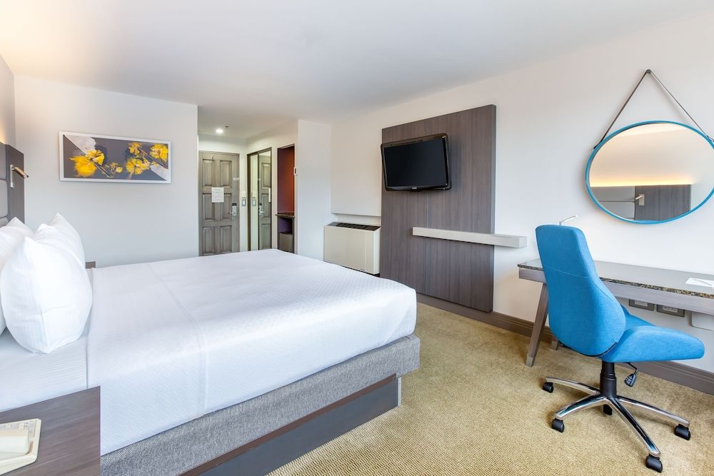 Crowne Plaza San Jose La Sabana by IHG Standard Room, 1 King Bed