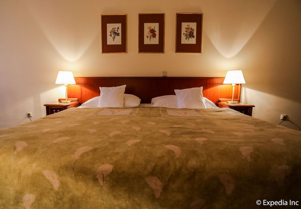 EA Hotel Rokoko Standard Double Room 8