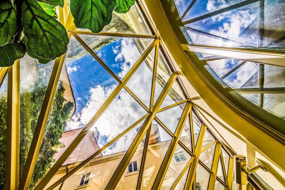 undefined The Dominican 7