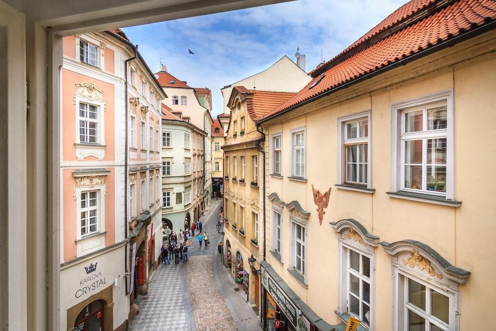 undefined The Dominican 6