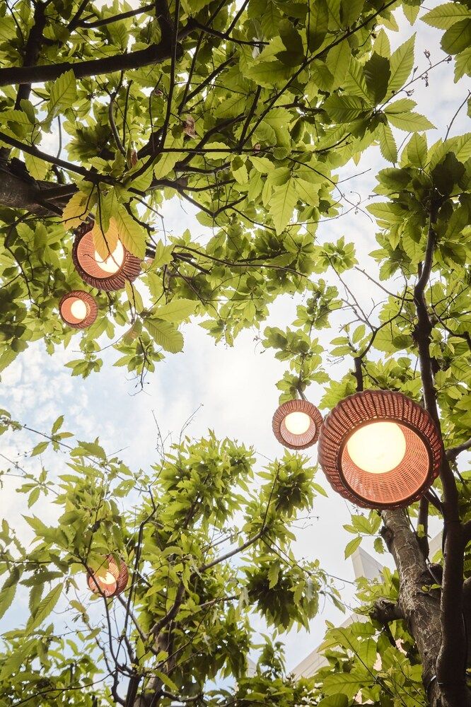 undefined The Mandala Berlin, a Member of Design Hotel 5