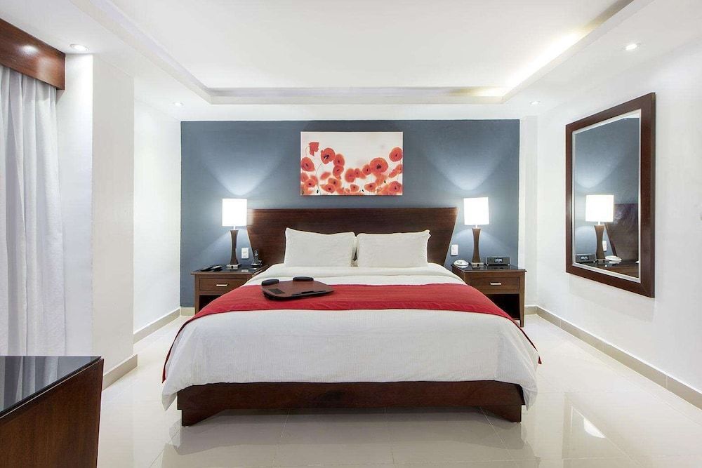 Centro Plaza Hodelpa Suite (Matrimonial) 3