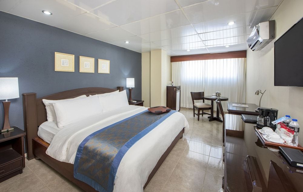 Centro Plaza Hodelpa Deluxe Room 4