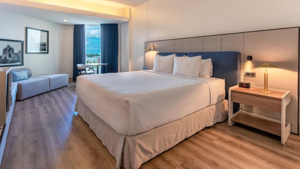 Premium Room, 1 King Bed, Accessible (Accessible Bathtub)