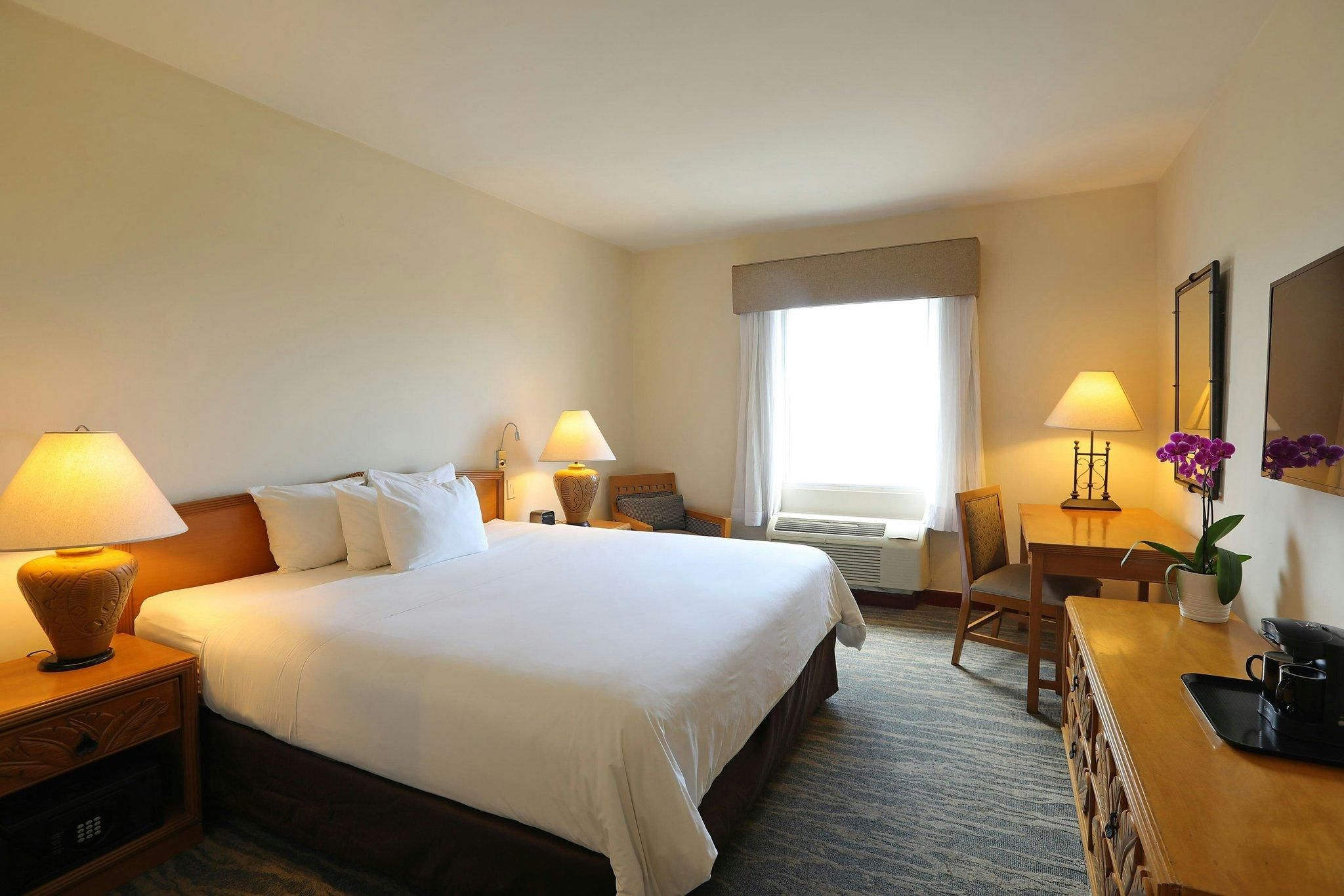 Standard, Guest room, 1 King