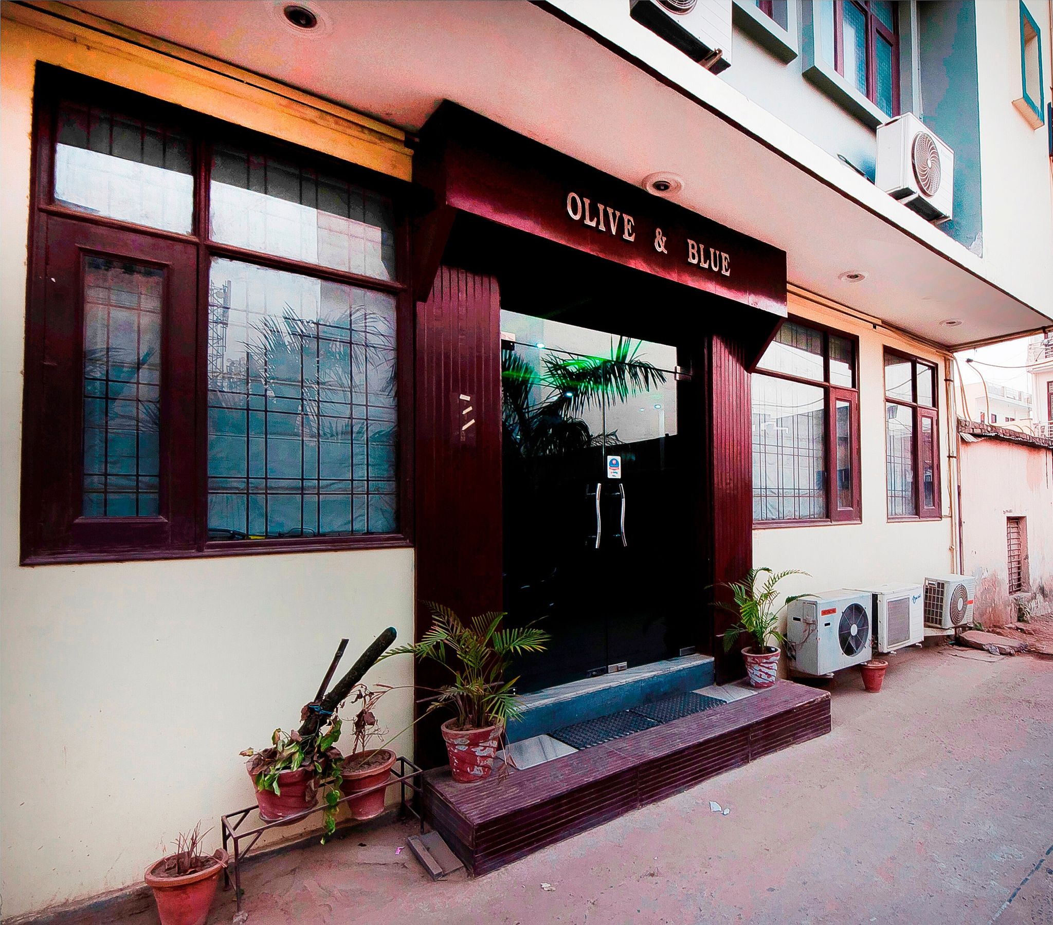 undefined Hotel Olive and Blue 7