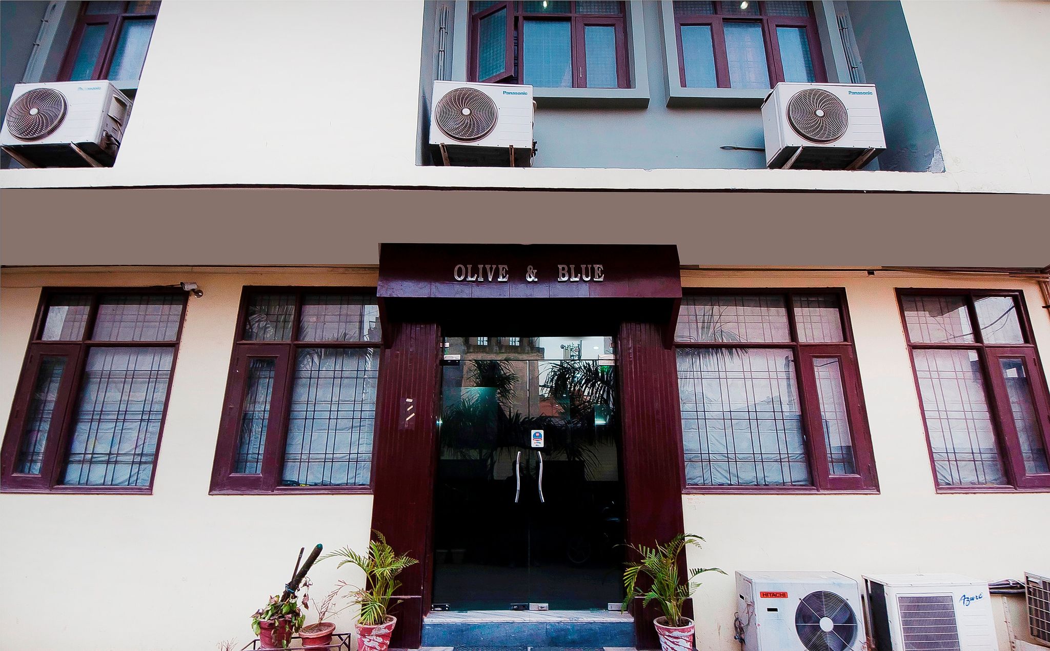 undefined Hotel Olive and Blue 8