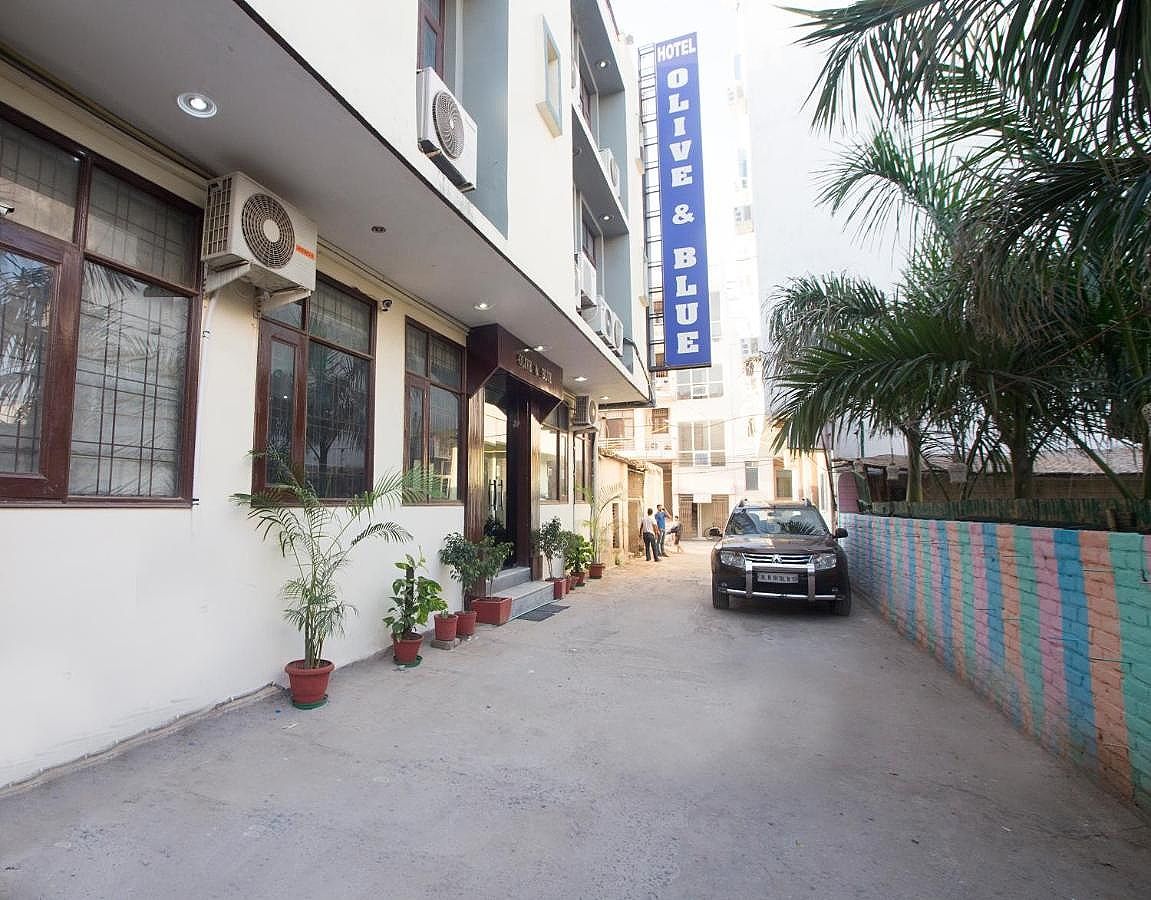 undefined Hotel Olive and Blue 6