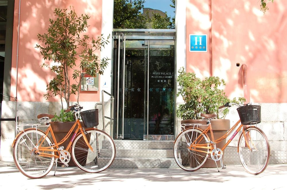 undefined Petit Palace Plaza del Carmen 6