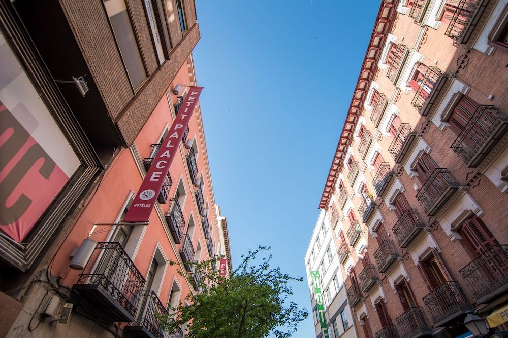 undefined Petit Palace Tres Cruces 4