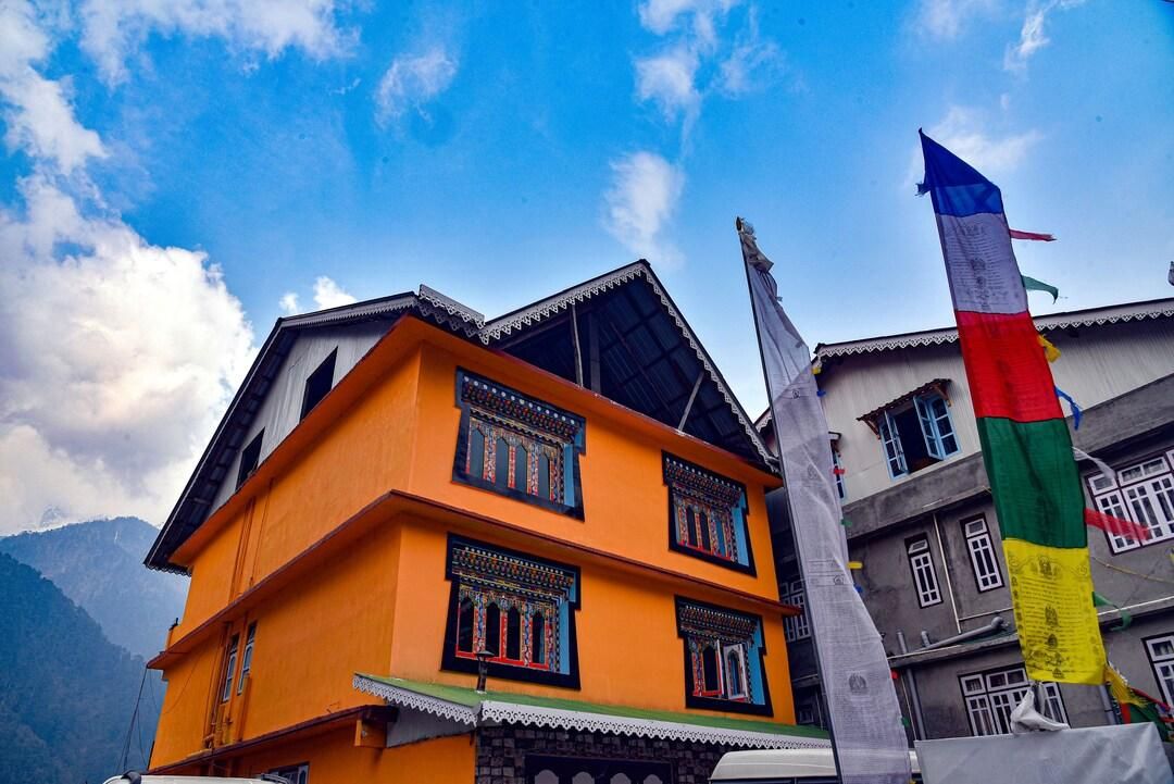 undefined Delight Royal Lachen