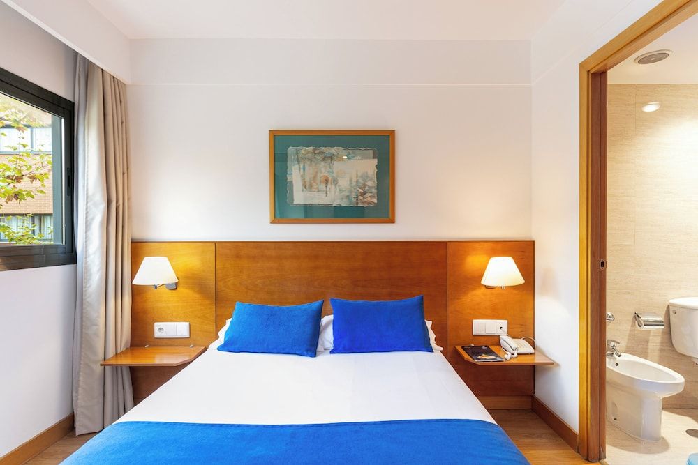 Sercotel de los Reyes Standard Room, 1 Double Bed