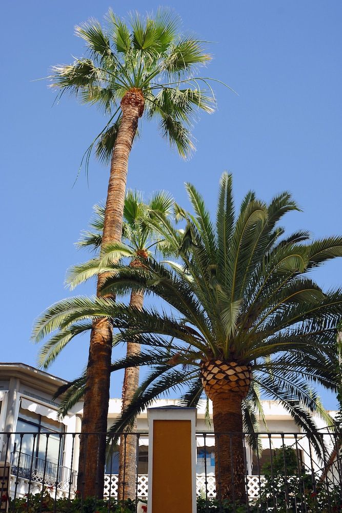 undefined Vincci La Rabida Hotel 6